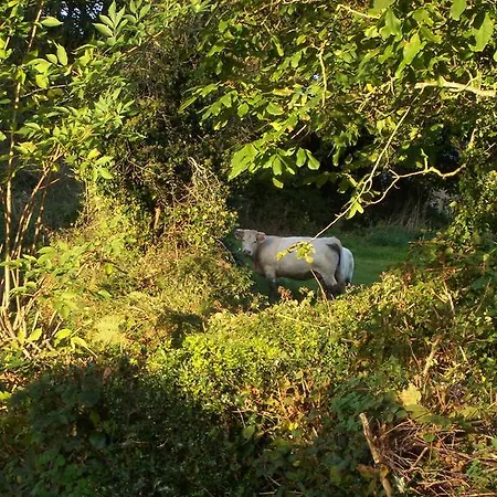 Maison d'hôtes Le Cuisinier En Combraille